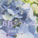 6月のシフトです！