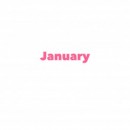 1月のお休みのお知らせ